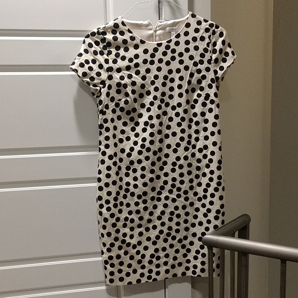J Crew Polka dot dress